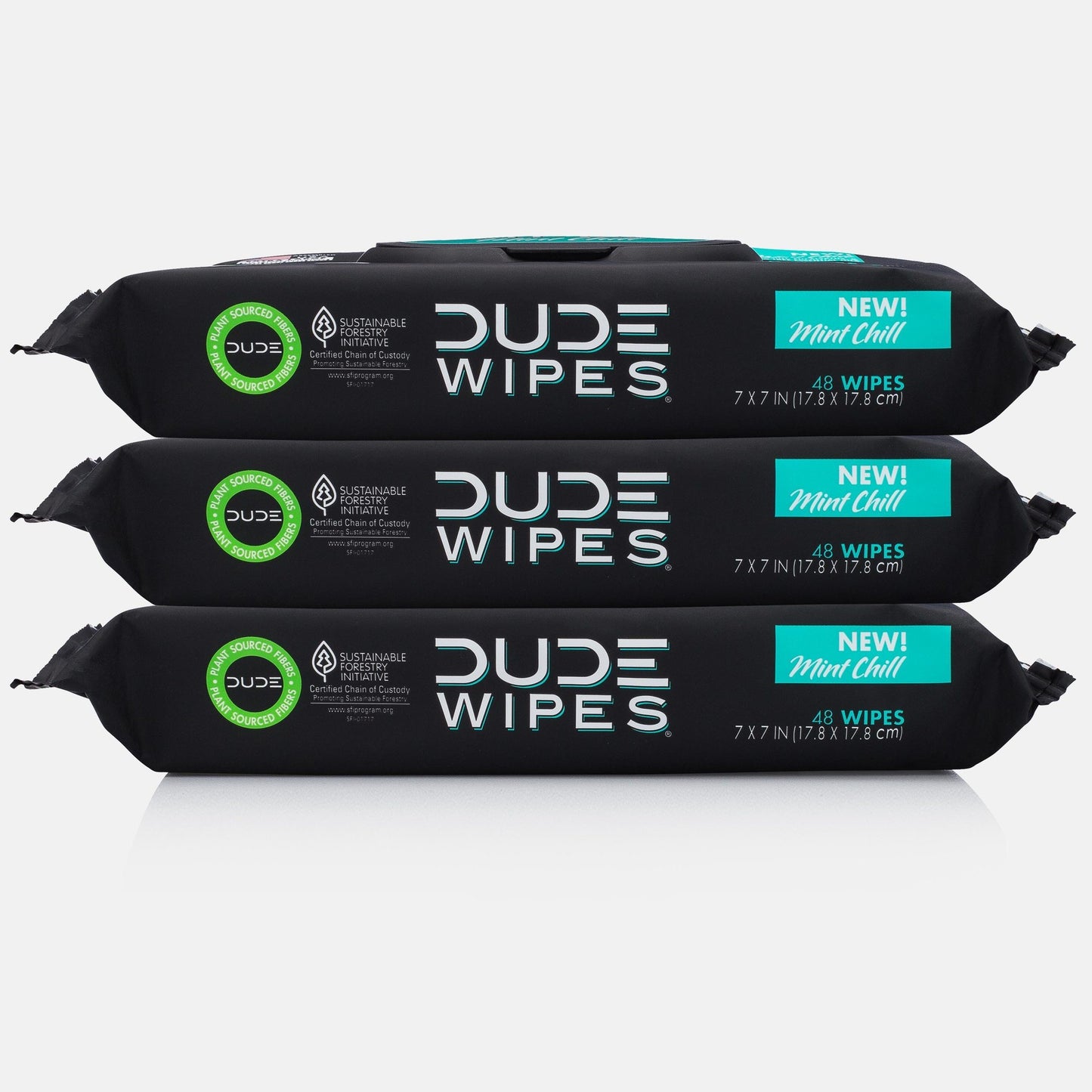 DUDE WIPES, MINT CHILL - 48CT DISPENSER, 3 PACKS (FLUSHABLE)