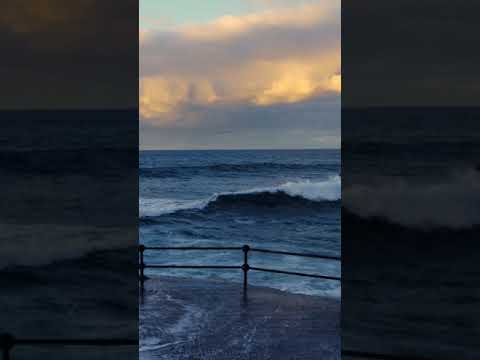 Media - vertical external video