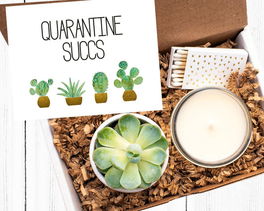 Quarantine Succs Limited Edition Box